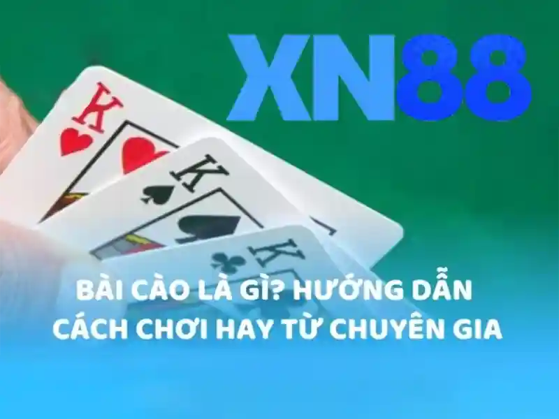 An toàn và quản trị rủi ro khi chơi