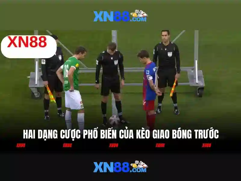 Các trò chơi và dịch vụ