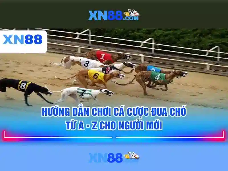 Giới thiệu về xn88