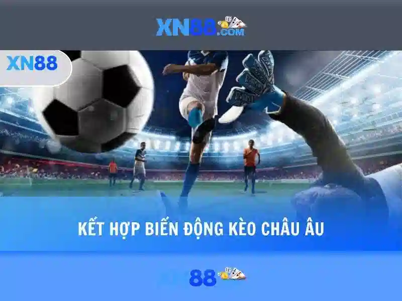 Các tính năng nổi bật của xn88