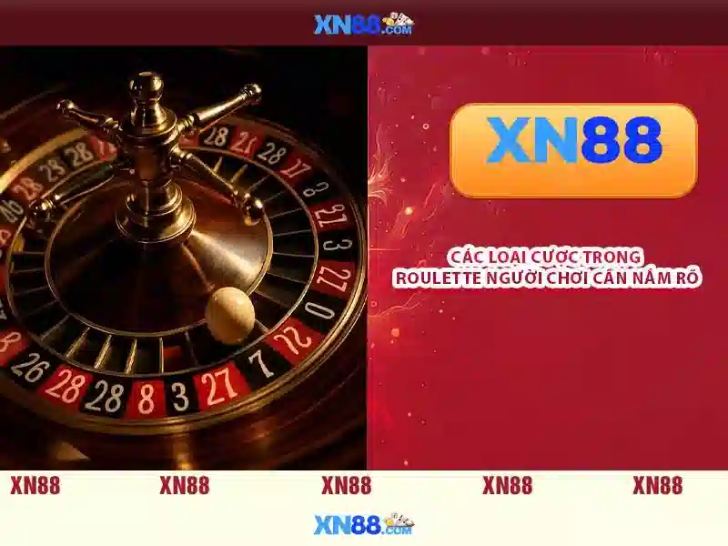 Giới thiệu về xn88