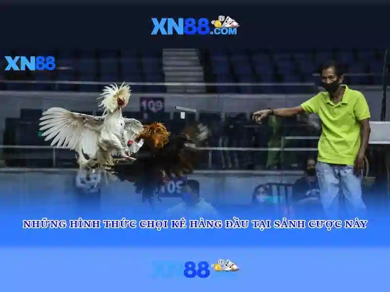 xn88 — Giới thiệu và đánh giá Giao diện nhà cái hoàn hảo