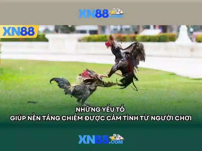 An toàn và trách nhiệm khi chơi