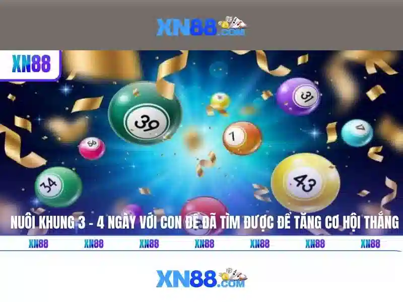 XN88: Nhà cái thể thao và casino trực tuyến