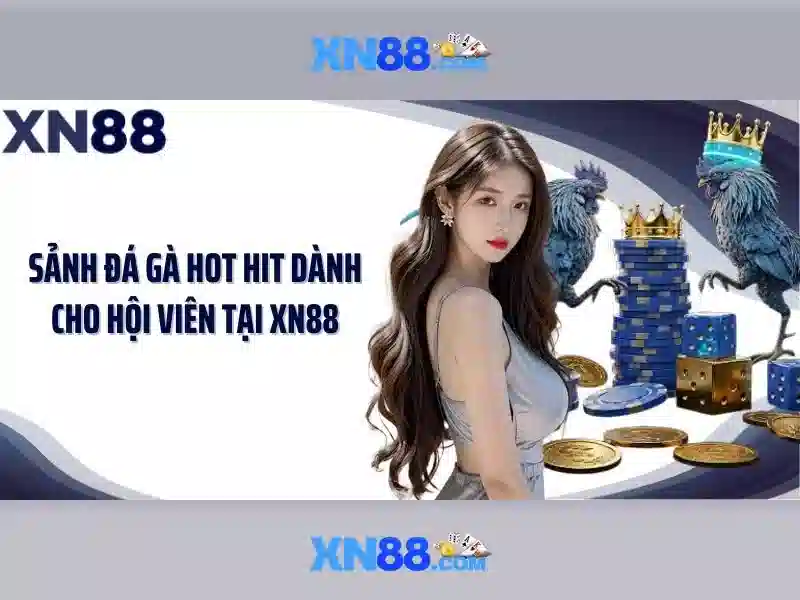 Xn88: Nen tang giai tri truc tuyen Giao diện nhà cái hoàn hảo