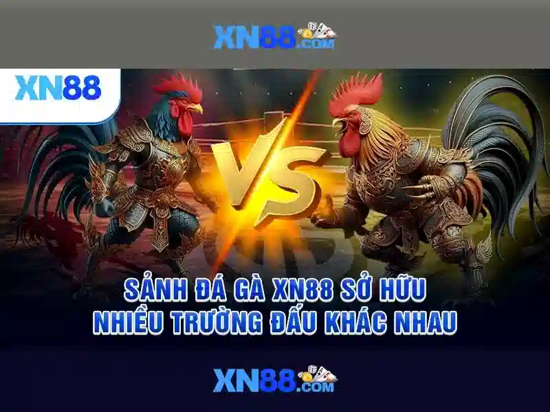 xn88 là gì? Nền tảng giải trí trực tuyến