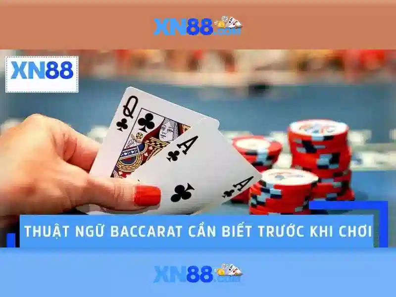 Giao diện và trải nghiệm người dùng