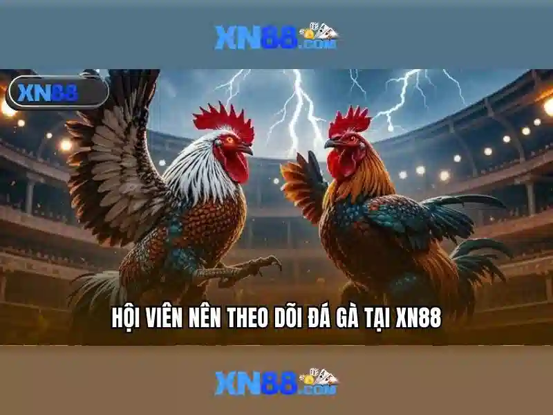 RutTienKetLuan