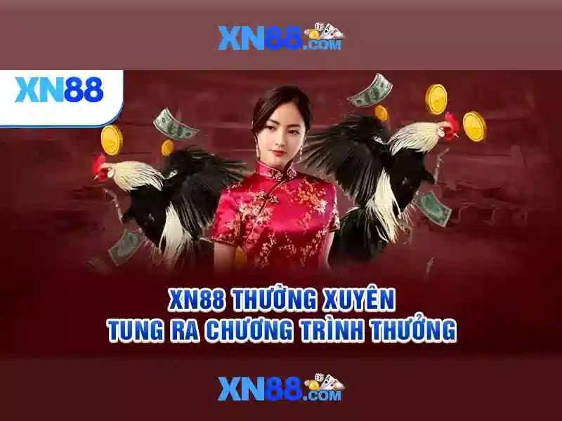 Giới thiệu về xn88