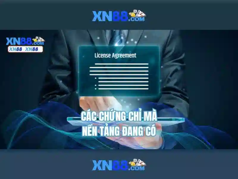 Danh mục trò chơi và trải nghiệm người dùng