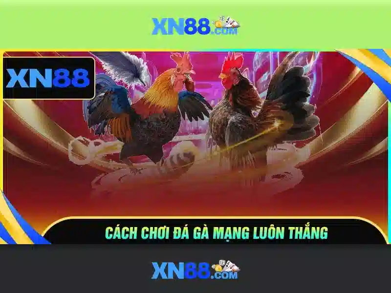 Khuyến mãi và thanh toán