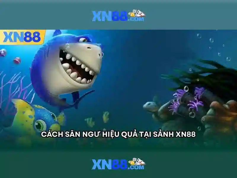 Độ an toàn và pháp lý của xn88