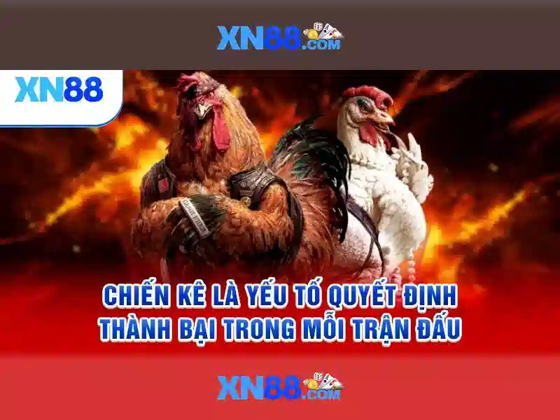 Giao diện nhà cái hoàn hảo