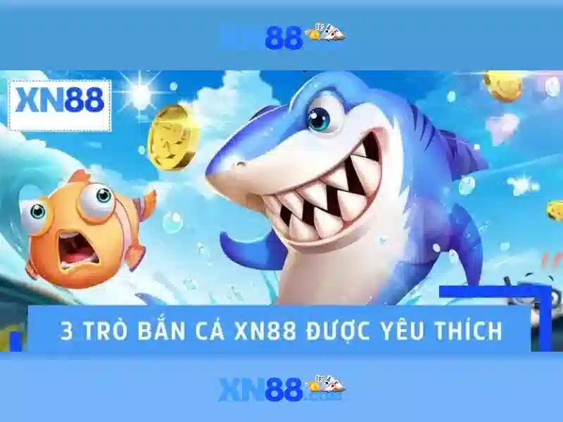 Lịch sử và quy định của xn88