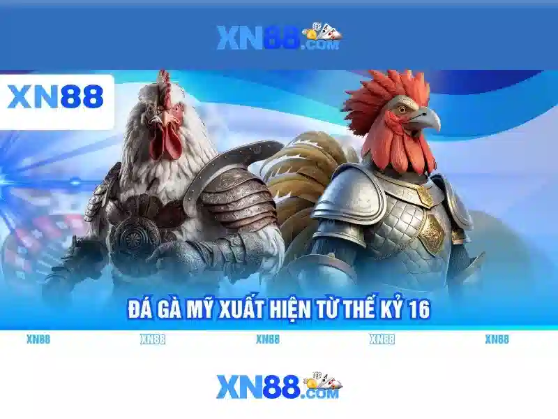 Lịch sử và nền tảng của xn88