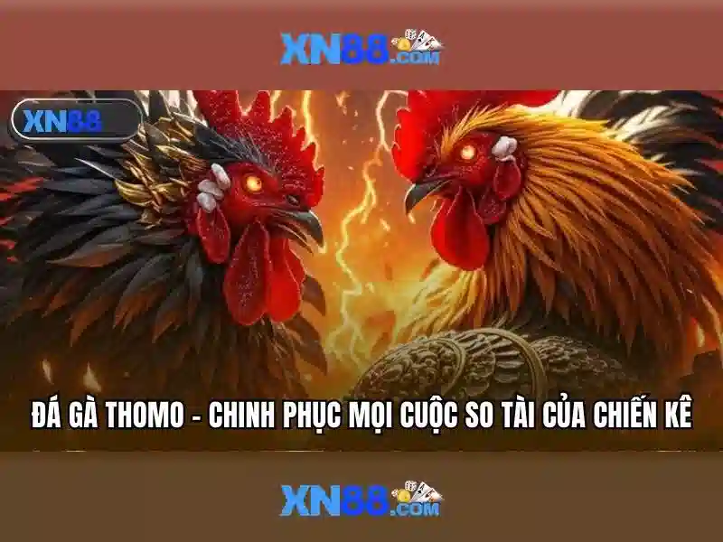 Giao diện nhà cái hoàn hảo
