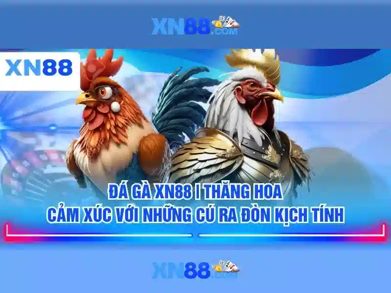 xn88: Tổng quan về nền casino trực tuyến và trải nghiệm người chơi Giao diện nhà cái hoàn hảo