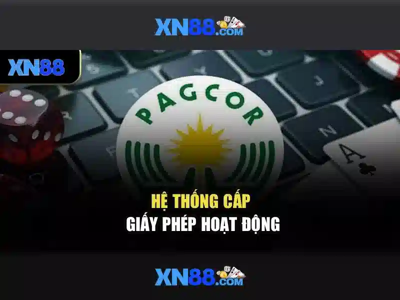 Giao diện nhà cái hoàn hảo