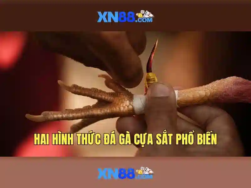 xn88: Nền tảng game và cá cược trực tuyến Giao diện nhà cái hoàn hảo