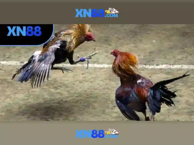 Bảo mật và sự tin cậy
