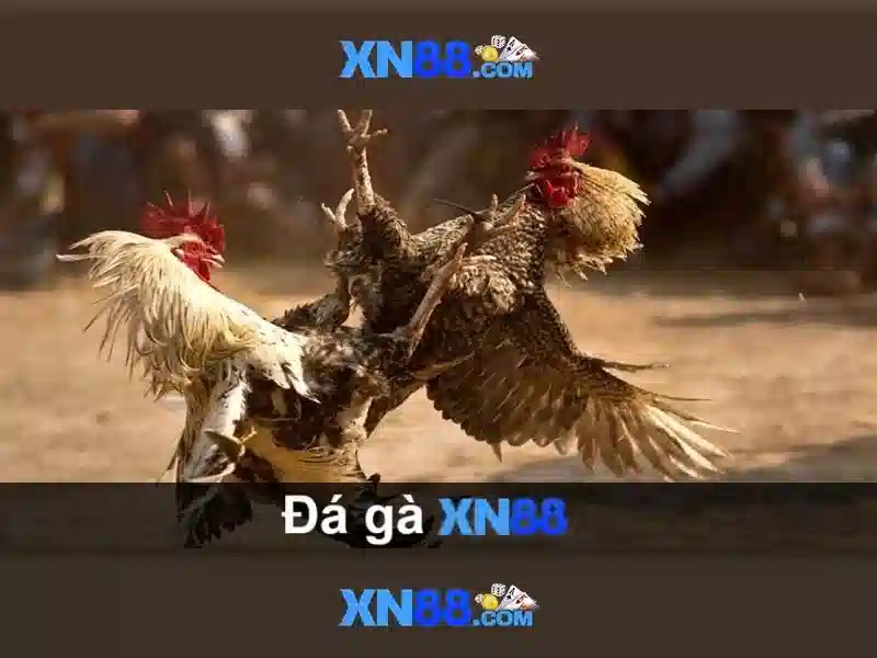 xn88 là gì và tại sao được nhắc đến trong cộng đồng trực tuyến