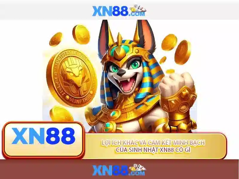 Giới thiệu về xn88