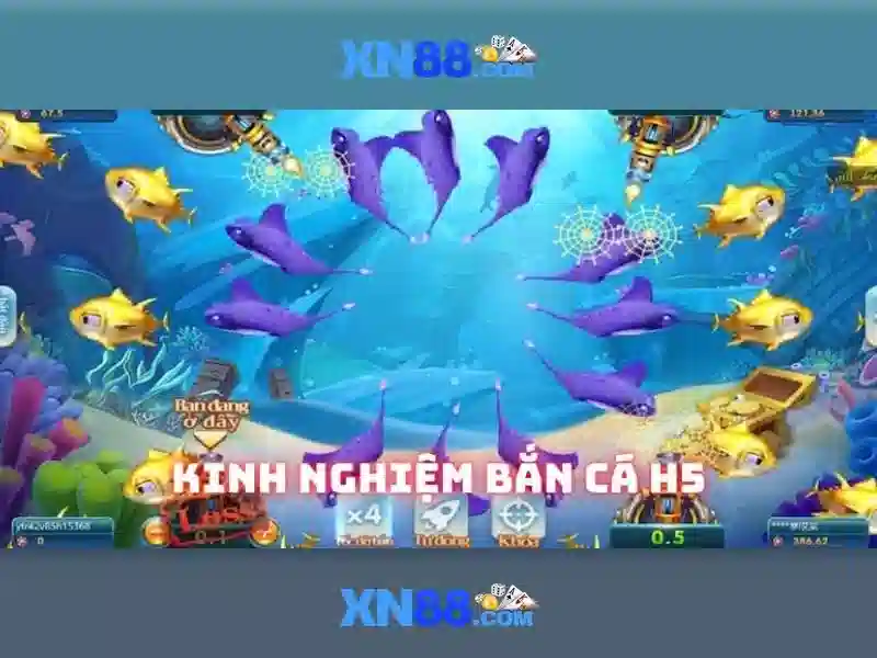 Cân nhắc an toàn và quy định