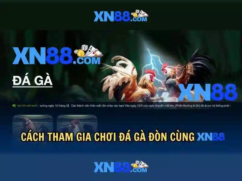 Xn88: Tổng quan và nhận thức an toàn Giao diện nhà cái hoàn hảo