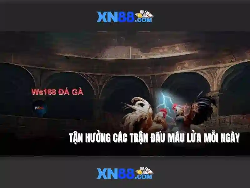Giao dịch và bảo mật