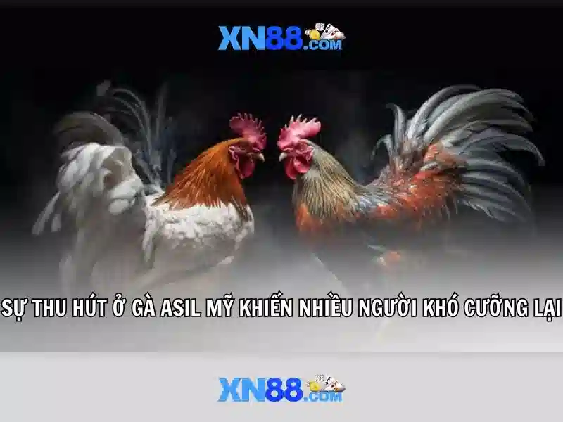 Lịch sử và nguồn gốc
