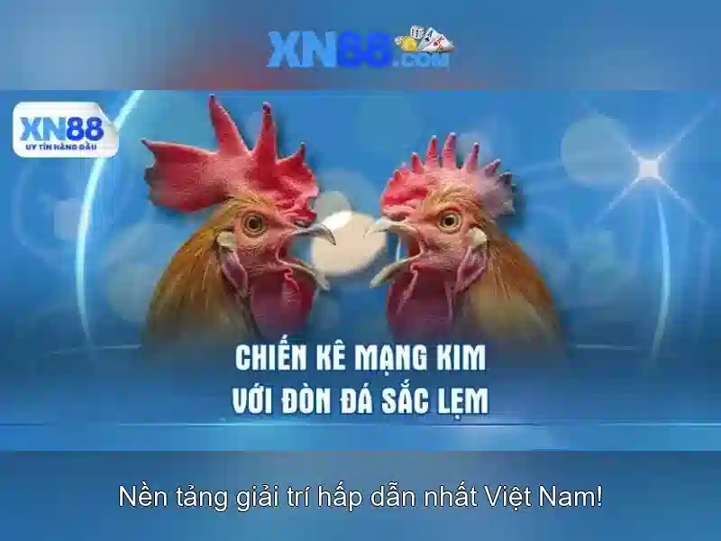 XN88: Nền tảng trò chơi trực tuyến an toàn và hướng dẫn sử dụng Giao diện nhà cái hoàn hảo
