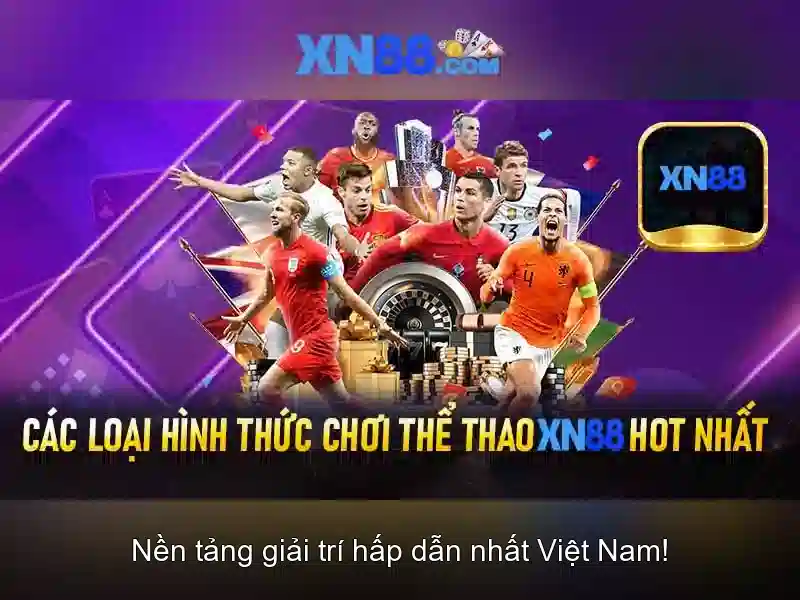 Khuynh hướng và nền tảng