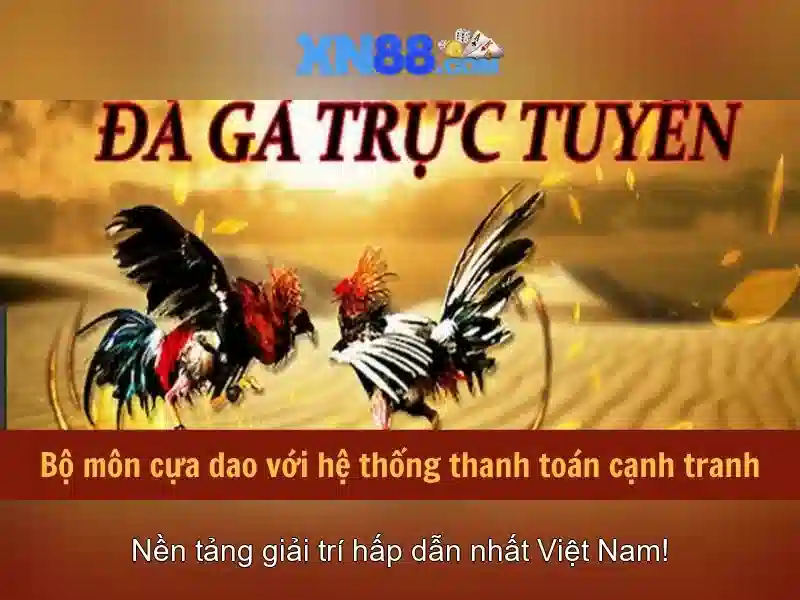 Đặc điểm nổi bật của XN88