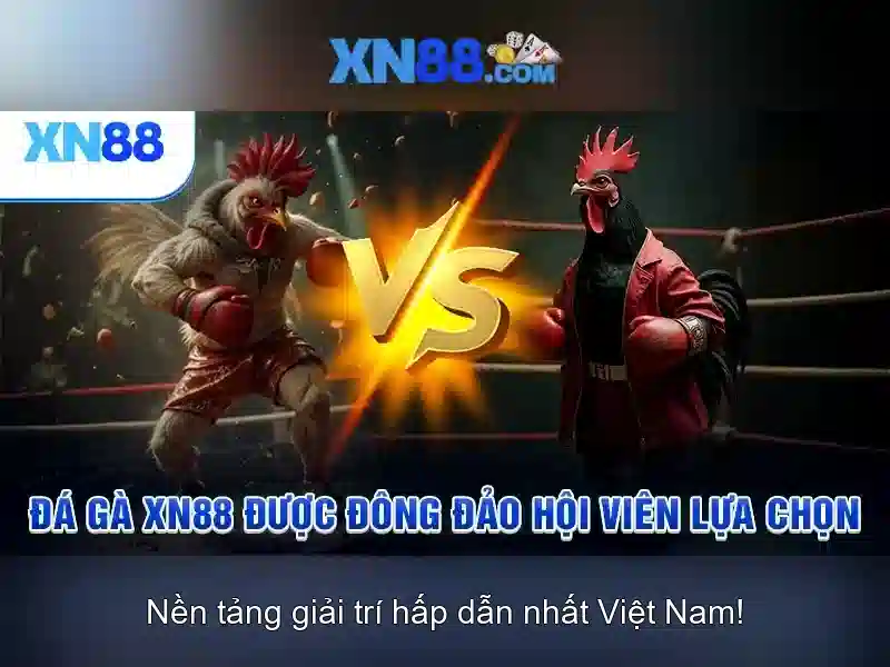 XN88: Nền tảng cược trực tuyến an toàn và tiện lợi Giao diện nhà cái hoàn hảo