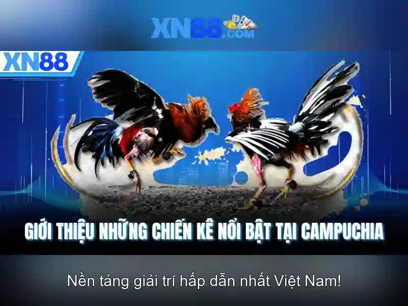 Giới thiệu về xn88