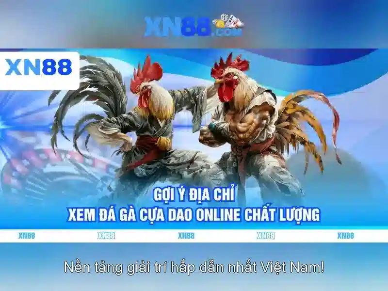 Những lợi ích và rủi ro khi tham gia xn88