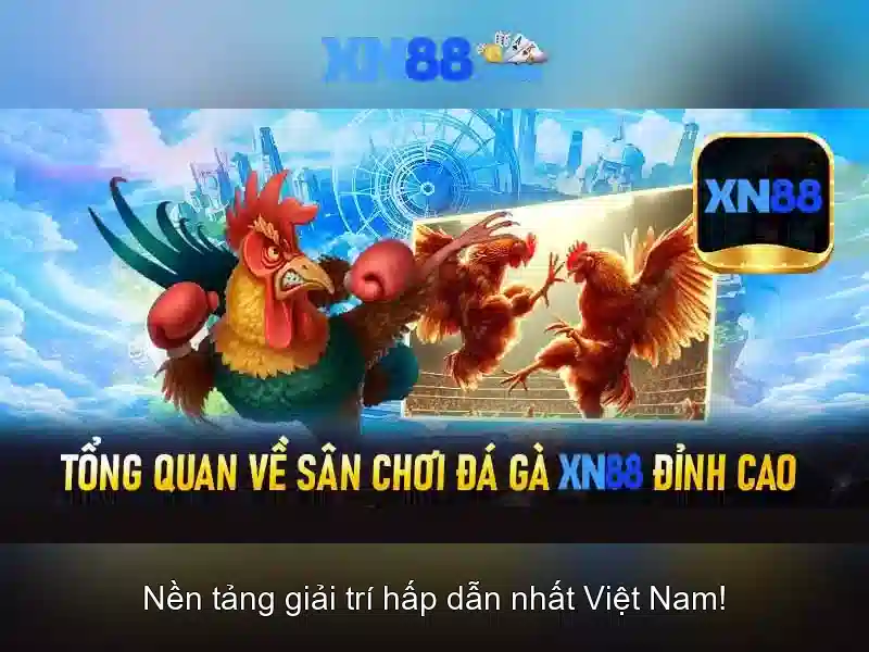 Giao diện nhà cái hoàn hảo