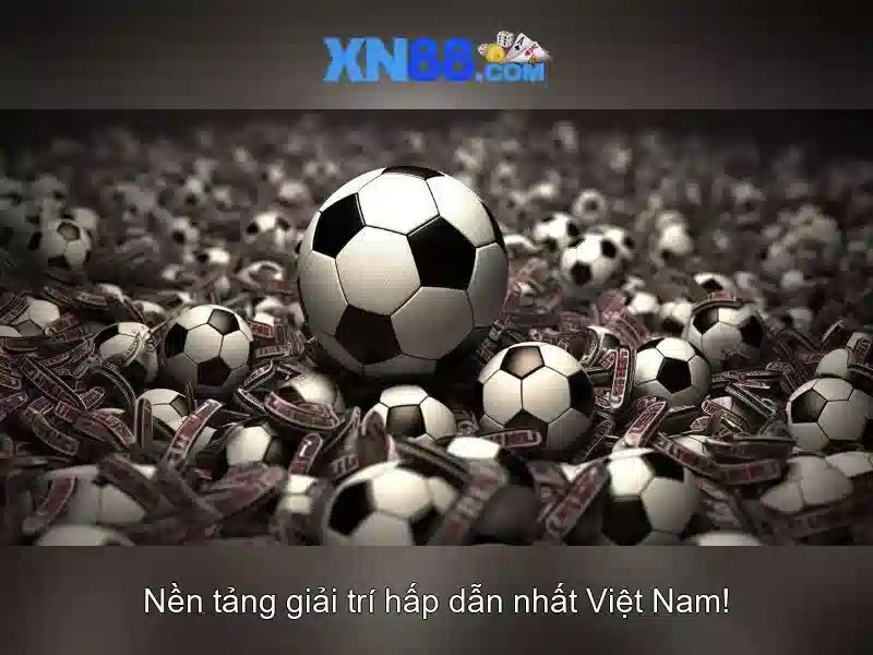 Nền tảng và chức năng