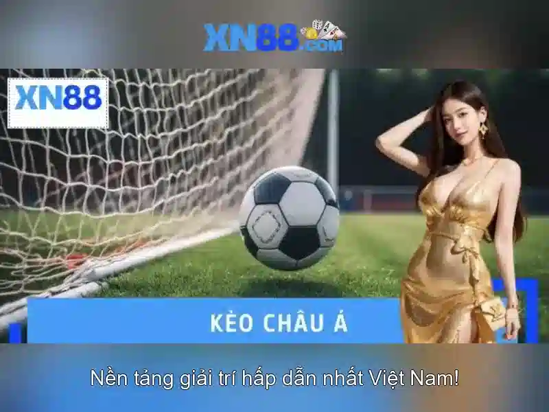 Giới thiệu về xn88