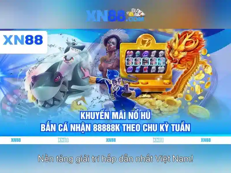 Giới thiệu về xn88