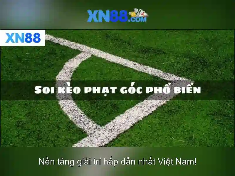 Các sản phẩm nổi bật