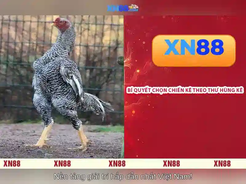 Định vị thị trường và mục tiêu