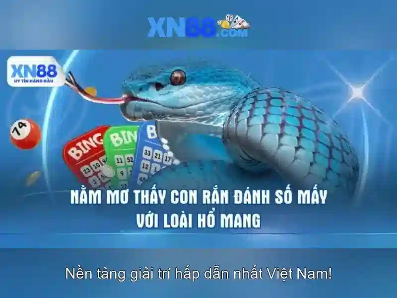 Giới thiệu về xn88