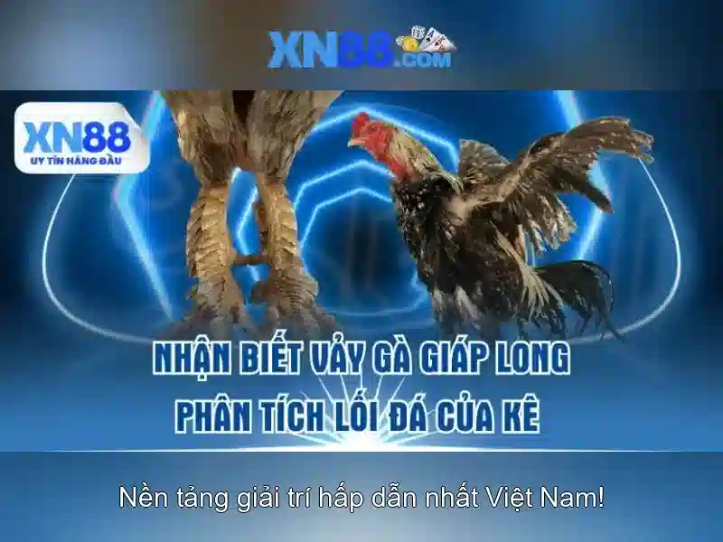 Giới thiệu xn88