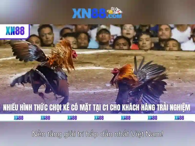Giới thiệu về xn88