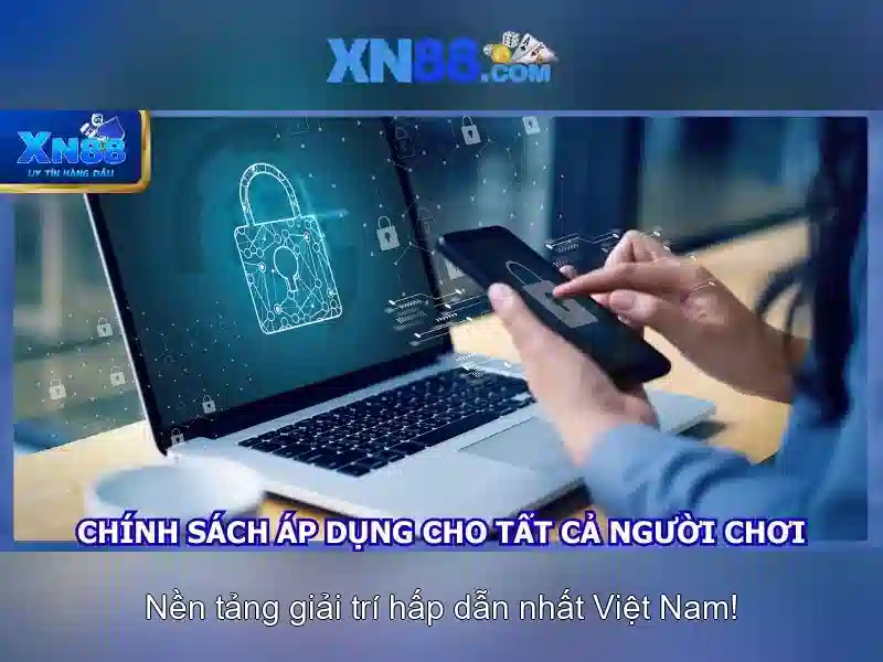 Nền tảng và giao diện