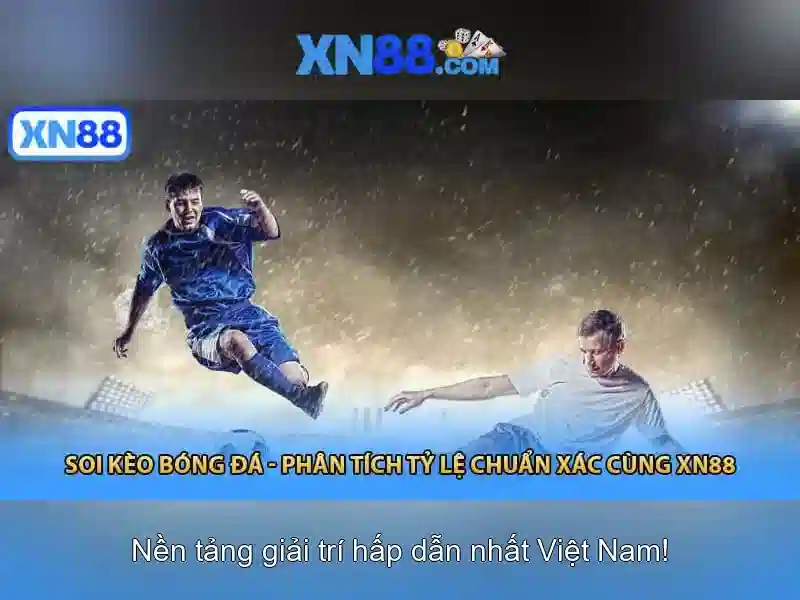 Xn88 là gì?