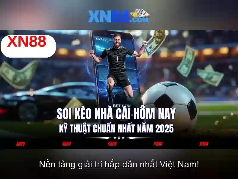 Lĩnh vực hoạt động