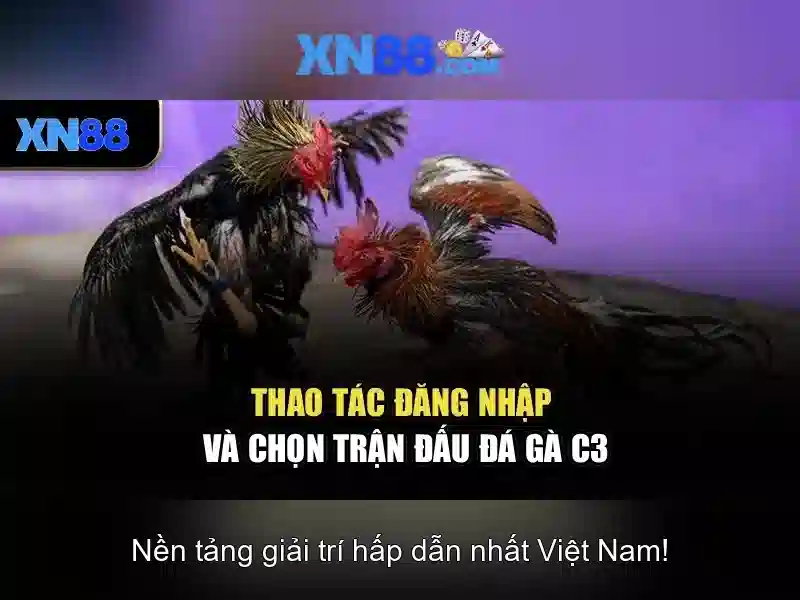 Giới thiệu xn88