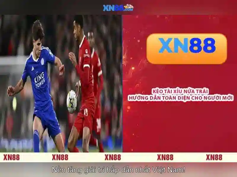 Tiện ích và trải nghiệm người dùng
